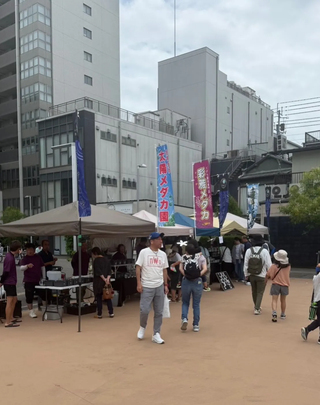 今日の休みは高知のひろめ市場の隣の広場で開催されたメダカのイ...