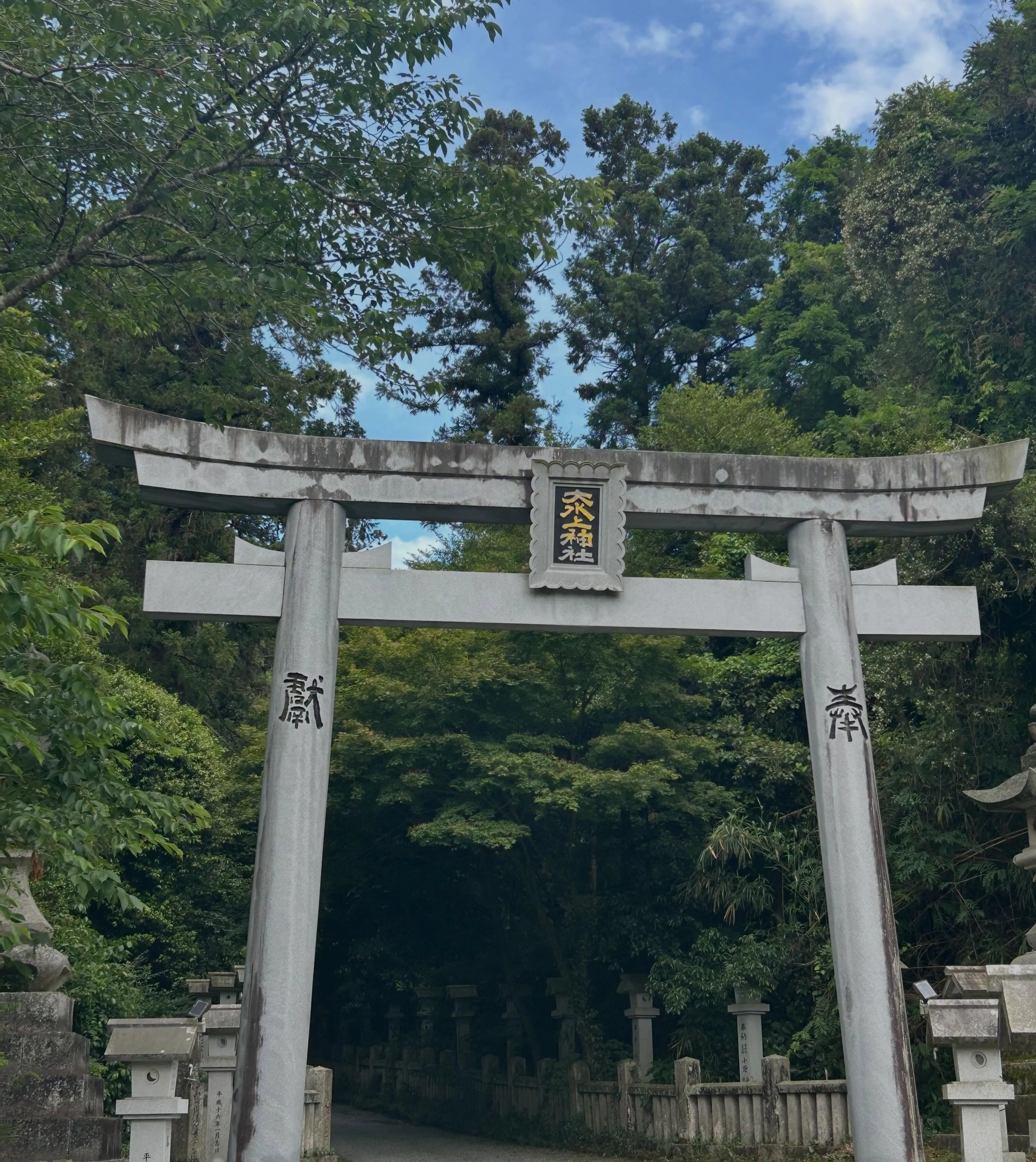 こんにちわ、今日は一日中雨ですね☂️