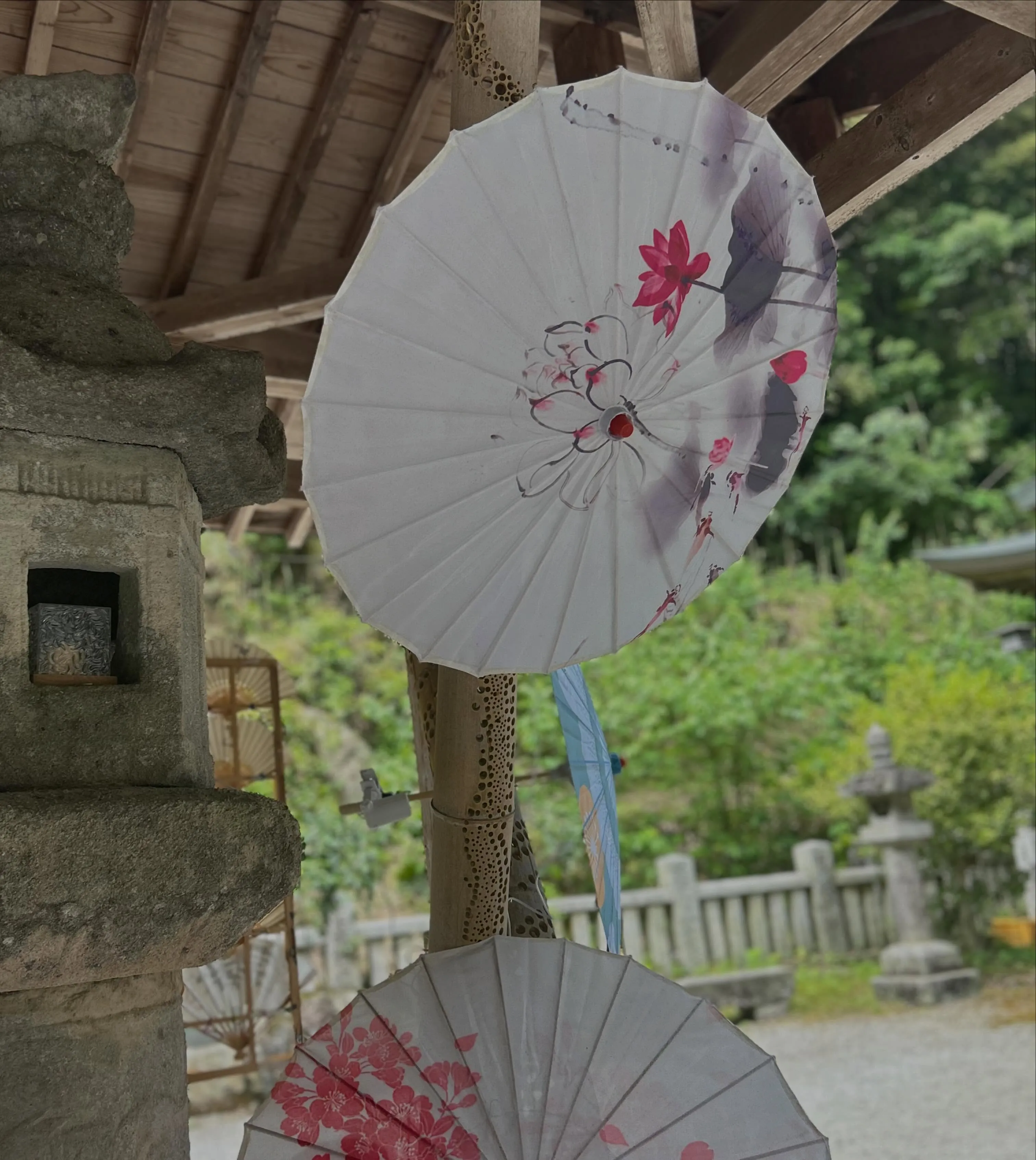 こんにちわ、今日は一日中雨ですね☂️