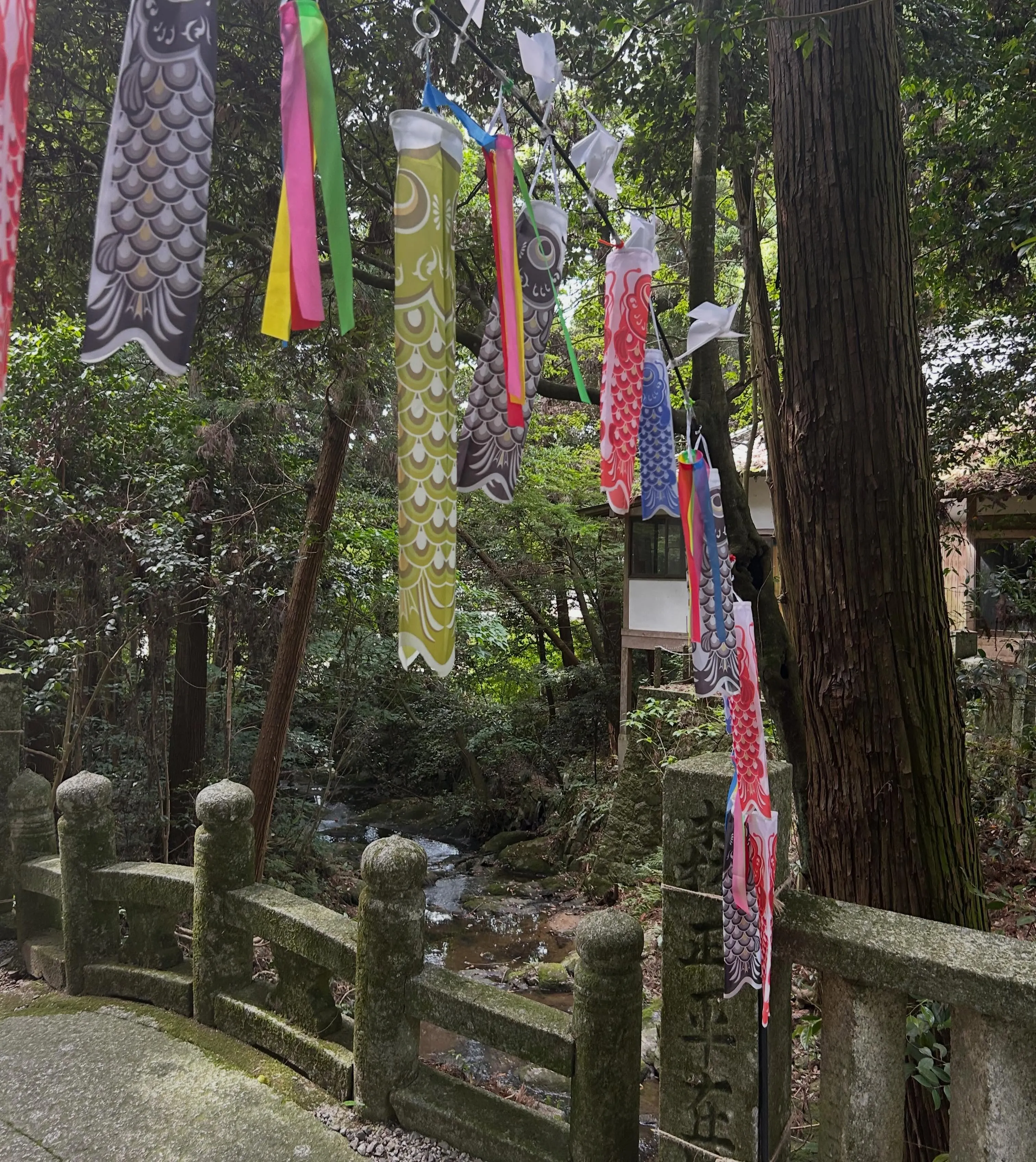 こんにちわ、今日は一日中雨ですね☂️