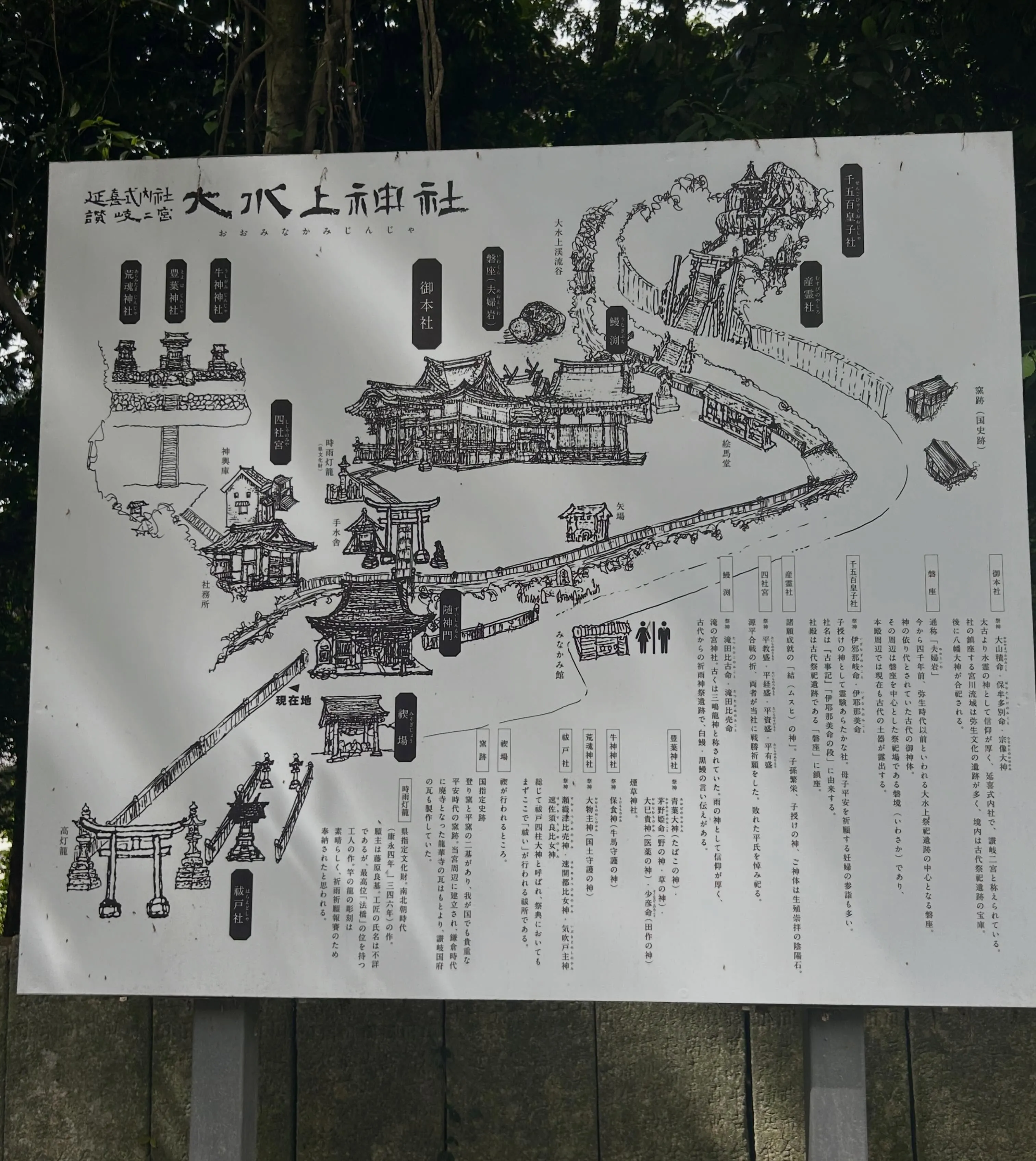 こんにちわ、今日は一日中雨ですね☂️