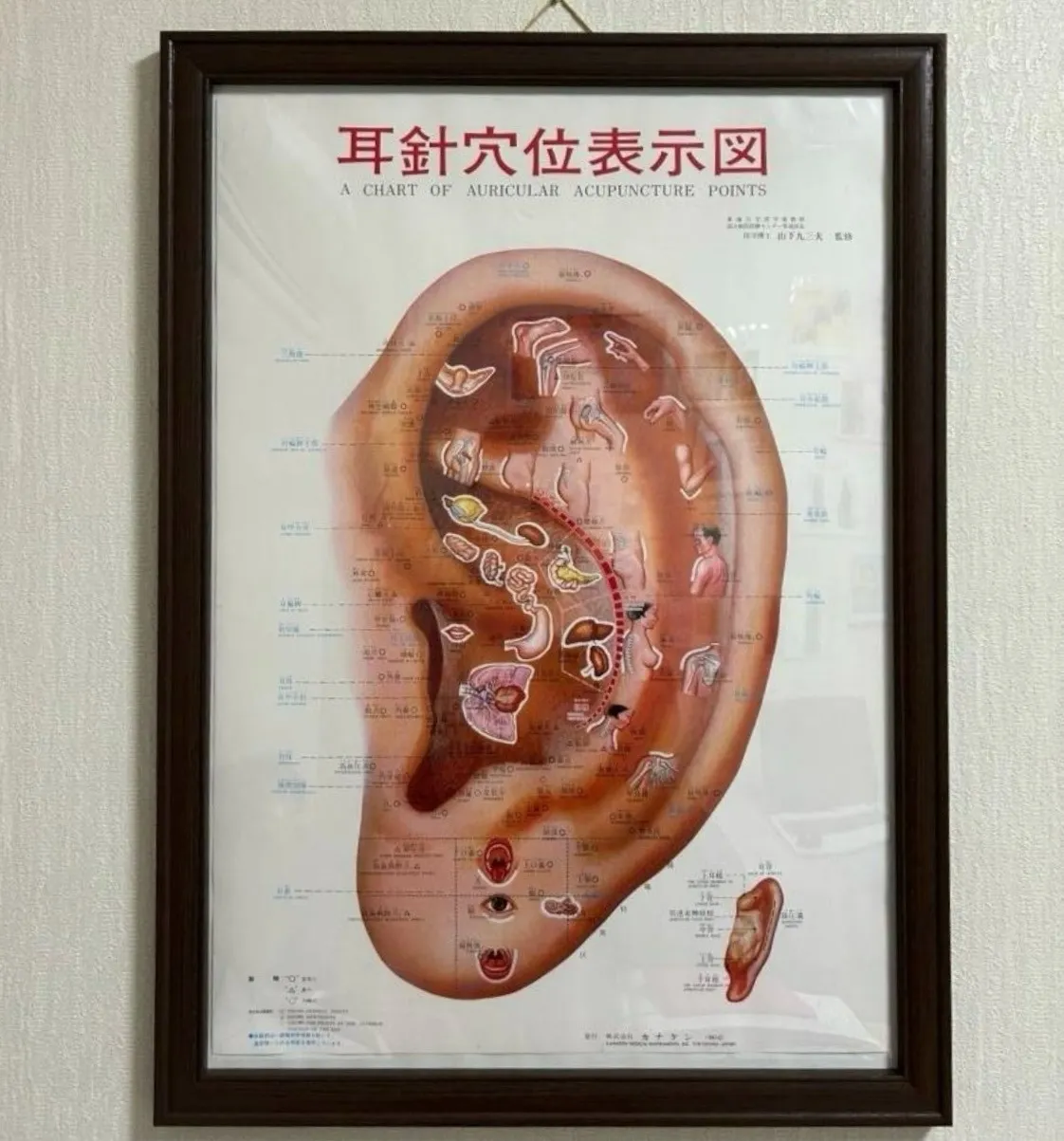 耳つぼダイエット